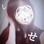 ヒメ日記 2026/01/24 09:16 投稿 白瀬(しらせ) 人妻出逢い会 百合の園 品川店