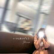 ヒメ日記 2026/01/29 09:56 投稿 白瀬(しらせ) 人妻出逢い会 百合の園 品川店