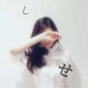 ヒメ日記 2026/01/31 08:46 投稿 白瀬(しらせ) 人妻出逢い会 百合の園 品川店