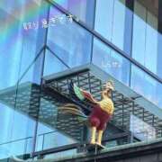 ヒメ日記 2026/02/07 22:16 投稿 白瀬(しらせ) 人妻出逢い会 百合の園 品川店