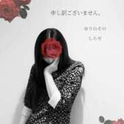 ヒメ日記 2026/05/07 21:46 投稿 白瀬(しらせ) 人妻出逢い会 百合の園 品川店