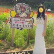 ヒメ日記 2026/05/11 14:06 投稿 白瀬(しらせ) 人妻出逢い会 百合の園 品川店