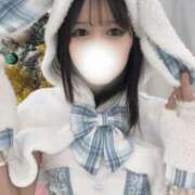 れい みんなの12月の予定は？ 横浜シンデレラ（シンデレラグループ）