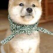 ヒメ日記 2025/12/30 13:49 投稿 かおり 完熟ばなな 谷九店