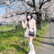 みか 今日から出勤するよ🌸✨️ 極楽城(ゴクラクジョウ)