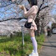 ヒメ日記 2026/04/03 09:01 投稿 みか 極楽城(ゴクラクジョウ)