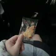 ヒメ日記 2025/11/28 11:03 投稿 あいか 治療院.LOVE 宇都宮店