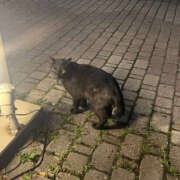 あいか 退勤🌙（あいかの雑談） 治療院.LOVE 宇都宮店