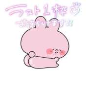 ヒメ日記 2026/02/08 11:11 投稿 ると ミセス ファースト -お姉さん・若妻専門店-