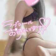 ヒメ日記 2026/06/06 08:02 投稿 ると ミセス ファースト -お姉さん・若妻専門店-