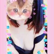 ヒメ日記 2026/01/06 11:28 投稿 月瀬（つきせ） 人妻城 横浜本店