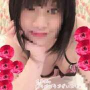 ヒメ日記 2025/11/02 20:39 投稿 ともこ 多治見・土岐・春日井ちゃんこ