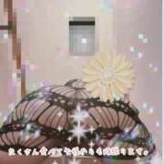 ヒメ日記 2025/11/05 12:19 投稿 ともこ 多治見・土岐・春日井ちゃんこ