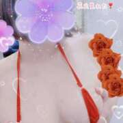 ヒメ日記 2025/11/08 20:49 投稿 ともこ 多治見・土岐・春日井ちゃんこ