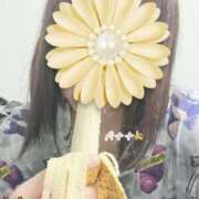 ヒメ日記 2025/11/09 09:09 投稿 ともこ 多治見・土岐・春日井ちゃんこ