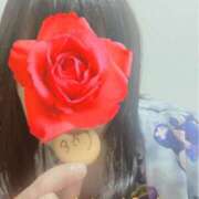 ヒメ日記 2025/11/09 15:09 投稿 ともこ 多治見・土岐・春日井ちゃんこ