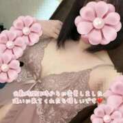 ヒメ日記 2025/11/10 12:39 投稿 ともこ 多治見・土岐・春日井ちゃんこ