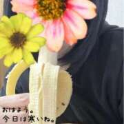 ヒメ日記 2025/11/12 05:39 投稿 ともこ 多治見・土岐・春日井ちゃんこ