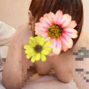 ヒメ日記 2025/11/13 05:31 投稿 ともこ 多治見・土岐・春日井ちゃんこ