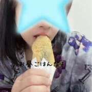 ヒメ日記 2025/11/16 12:49 投稿 ともこ 多治見・土岐・春日井ちゃんこ