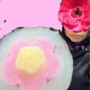 ヒメ日記 2025/11/16 16:49 投稿 ともこ 多治見・土岐・春日井ちゃんこ