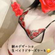 ヒメ日記 2025/11/17 09:39 投稿 ともこ 多治見・土岐・春日井ちゃんこ