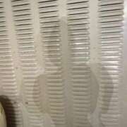 ヒメ日記 2025/11/17 21:29 投稿 ともこ 多治見・土岐・春日井ちゃんこ