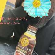 ヒメ日記 2025/11/22 18:19 投稿 ともこ 多治見・土岐・春日井ちゃんこ