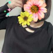 ヒメ日記 2025/11/24 12:19 投稿 ともこ 多治見・土岐・春日井ちゃんこ