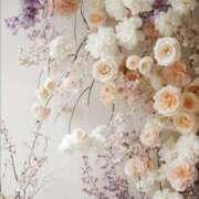 ヒメ日記 2025/11/25 05:42 投稿 ともこ 多治見・土岐・春日井ちゃんこ