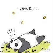 ヒメ日記 2025/11/25 18:39 投稿 ともこ 多治見・土岐・春日井ちゃんこ