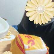 ヒメ日記 2025/11/28 22:22 投稿 ともこ 多治見・土岐・春日井ちゃんこ