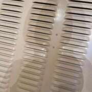 ヒメ日記 2025/11/29 09:29 投稿 ともこ 多治見・土岐・春日井ちゃんこ