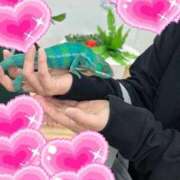 ヒメ日記 2025/11/29 18:39 投稿 ともこ 多治見・土岐・春日井ちゃんこ