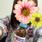 ヒメ日記 2025/12/16 12:32 投稿 ともこ 多治見・土岐・春日井ちゃんこ