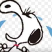 ヒメ日記 2025/12/18 13:09 投稿 ともこ 多治見・土岐・春日井ちゃんこ