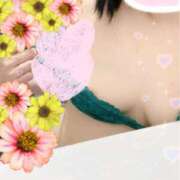 ヒメ日記 2025/12/24 16:29 投稿 ともこ 多治見・土岐・春日井ちゃんこ