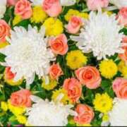 ヒメ日記 2026/01/11 13:09 投稿 ともこ 多治見・土岐・春日井ちゃんこ