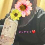 ヒメ日記 2026/01/15 07:29 投稿 ともこ 多治見・土岐・春日井ちゃんこ