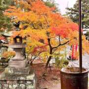 ヒメ日記 2025/11/22 09:25 投稿 美沙 池袋夢幻