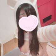 ヒメ日記 2026/02/26 11:18 投稿 るるか 折り紙 ORIGAMI