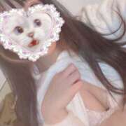 ヒメ日記 2026/03/25 21:48 投稿 るるか 折り紙 ORIGAMI