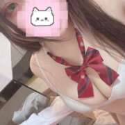 ヒメ日記 2026/03/26 12:09 投稿 るるか 折り紙 ORIGAMI