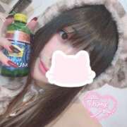 ヒメ日記 2026/04/11 14:51 投稿 るるか 折り紙 ORIGAMI