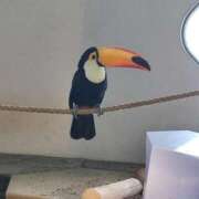 さえ しばらくぶりです😊 完熟ばなな 谷九店