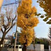 ヒメ日記 2025/12/15 19:49 投稿 まおみ 完熟ばなな 谷九店