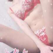 ヒメ日記 2025/11/22 20:33 投稿 しおん ニューグランド