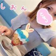 しおん まってるねん！ ニューグランド