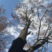 ヒメ日記 2025/12/19 21:01 投稿 雨音 せりな Prae(プラエ)