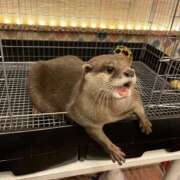 ヒメ日記 2026/01/26 05:02 投稿 こころ アート姫